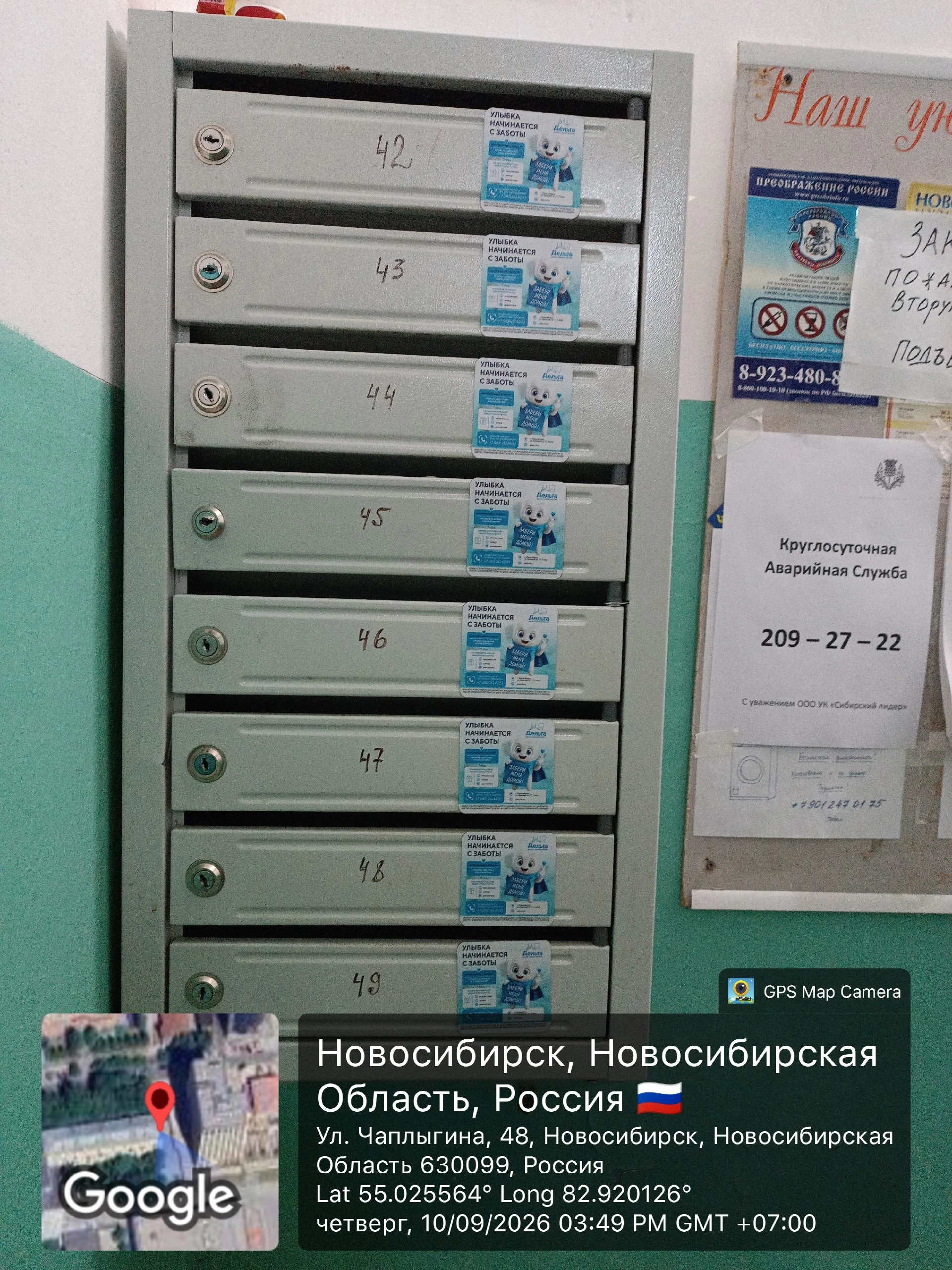 Промо-кампания в Новосибирск для Дельта — фото 2