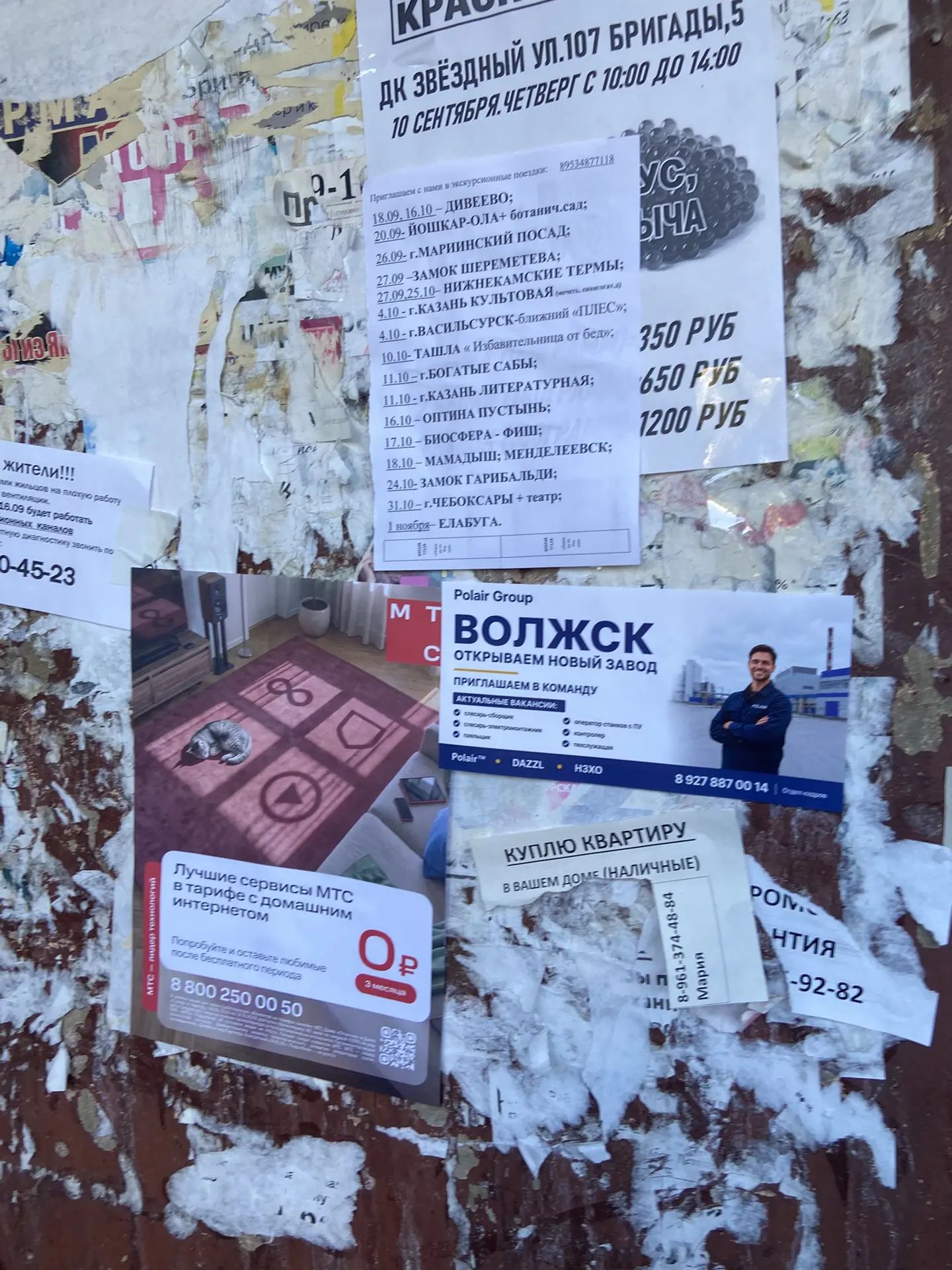 Промо-кампания в Волжск и Зеленодольск для Нзхо