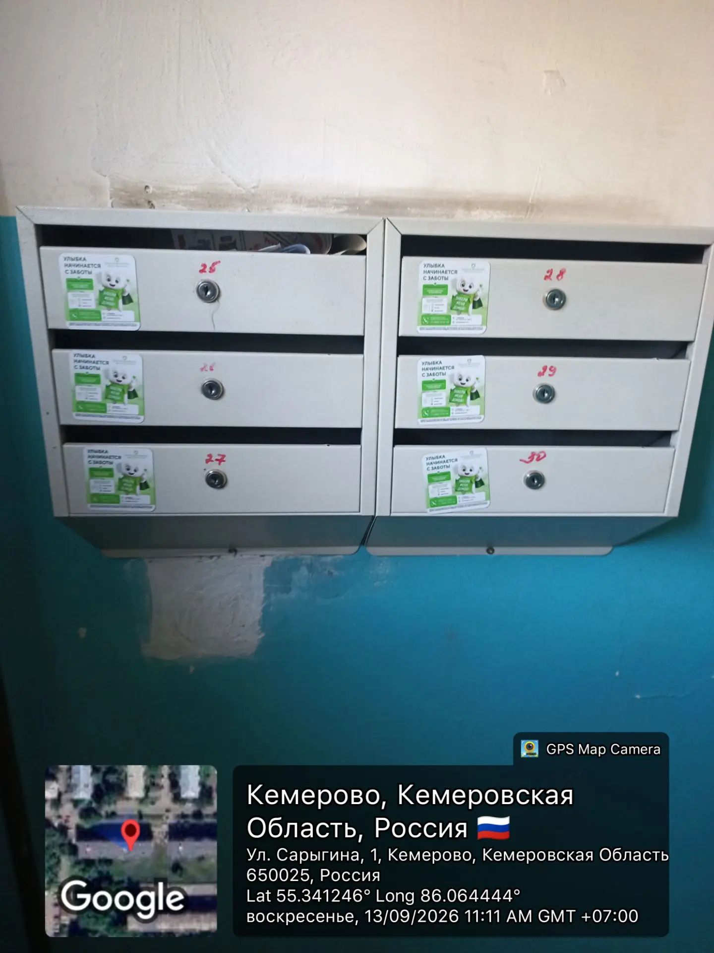 Промо-кампания в Кемерово для Сибирьдентал — фото 2