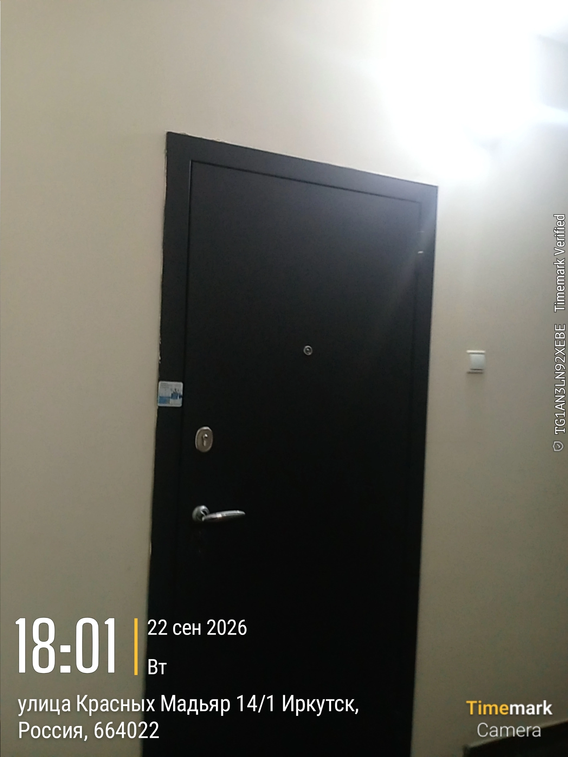 Промо-кампания в Иркутске для Стоматология Байкала — фото 2